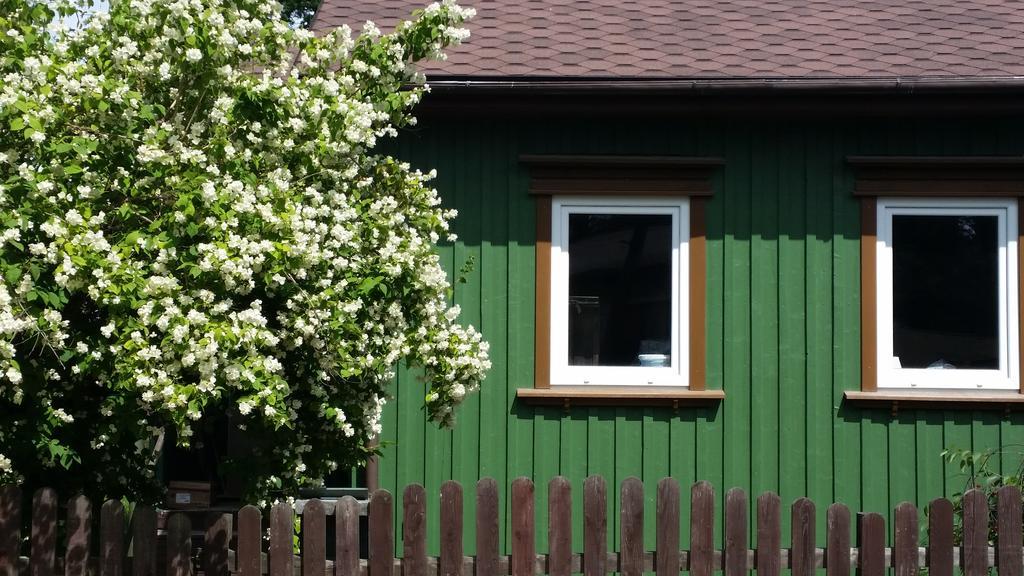 Summer House Вентспилс Екстериор снимка